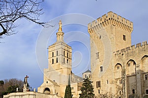 The Popes' Palace in Avignon, France photo