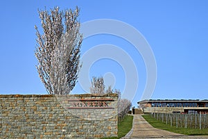 Blooming fruit tree behind the fence, vinary and road leading to wooden house with big windows