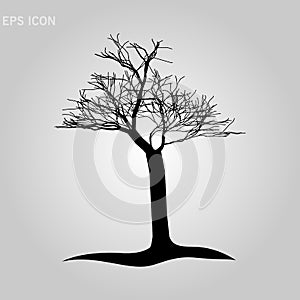 A poplar silhouette in the winter on a white background