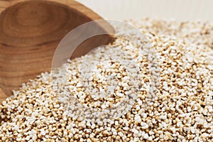 Popped Amaranth