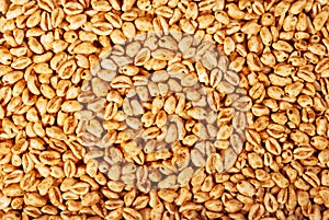 Popped wheat grains