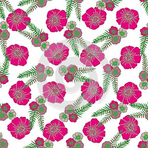 Poppies and Fern -Flowers in Bloom seamless repeat pattern background in pink, green and white