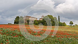 Poppies field around a rural country house