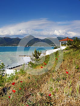 Poppies in the foreground.  Pebble beach resort Kabardinka, Black sea. Waves and surf on the beach.