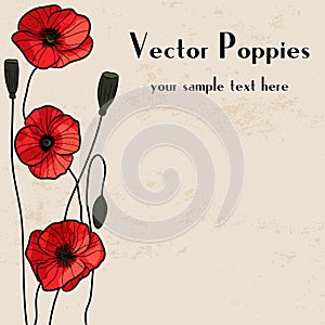 Poppies frame design