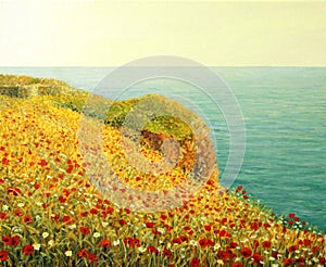 Poppies on Kaliakra