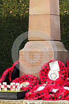 Poppies left at a memorial during Rememberance Day