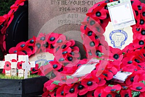 Poppies left at a memorial during Rememberance Day