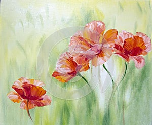 Poppies, oil painting