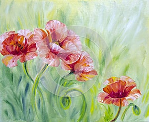 Poppies, oil painting