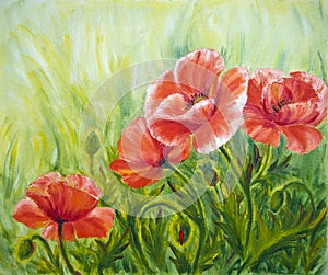 Poppies, , oil painting