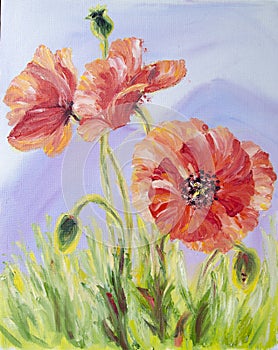 Amapolas aceite la pintura sobre el lienzo 