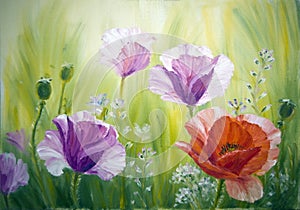 Poppies , oil painting on canvas