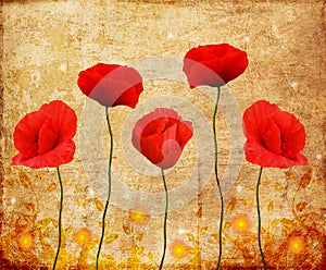 Poppies on an old paper