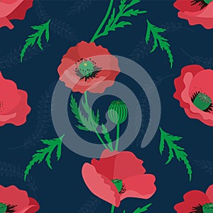 Poppies seamless pattern on a dark background. Floral vector pattern with red poppies. Pattern for memorial day and for