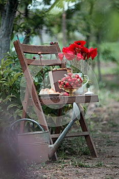 Poppies and strawberrie on a vintage wooden chair in the garden