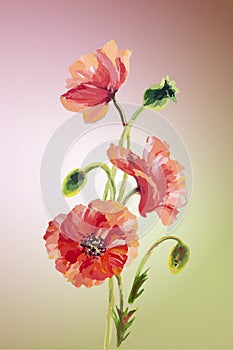 Poppies. Summer flowers invitation