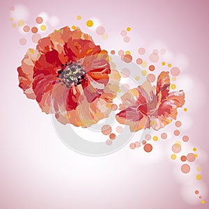 Poppies. Summer flowers invitation