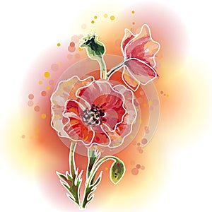 Poppies. Summer flowers invitation