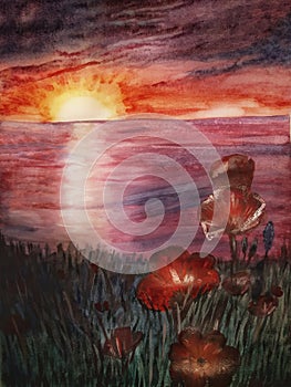 Poppies at sunset on the seashore. Illustration. Drawing watercolor paints.