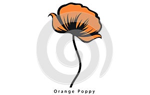 California Poppy, California Poppy Vector, Poppy Flower, Poppies Vector, Pretty Flower Vector