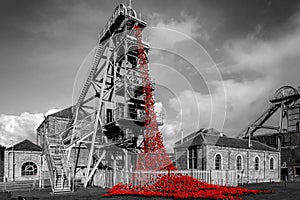 Poppies at Woodhorn colliery