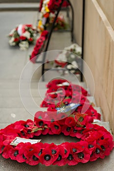 Poppies of Ypres Menin Gate