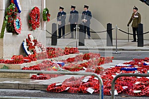 Poppy Appeal on Armistice Day, Whitehall, London.