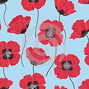 Poppy background