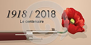 A poppy in the barrel of a rifle to symbolize the centenary of the armistice