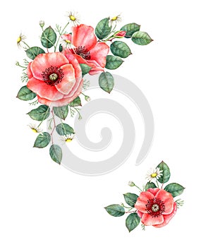 Poppy and chamomille floral composition. Hand drawn watercolor illustration. photo