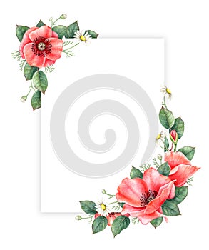 Poppy and chamomille floral greeting card template. Hand drawn watercolor illustration.