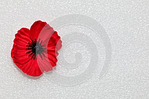 Poppy on a clean copy space for Anzac or Remembrance Day