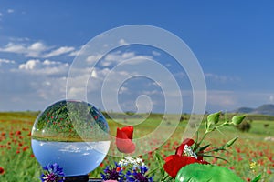 Poppy fields,flowers and crystal quartz