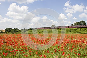 Poppy Fields & The Severn Valley Railway, near Bewdley