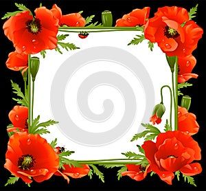 Poppy Floral Frame