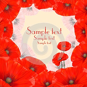 Poppy Floral Frame background