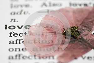 Poppy flower on book