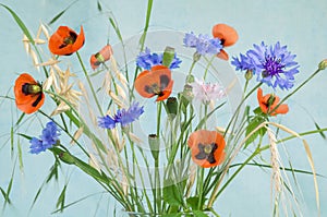 Poppy flower bouquet with red poppies, cornflower, wildflowers and oat spikelets with green leaves on stem on rustic blue