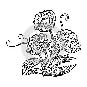 Poppy flower coloring book for adults vector