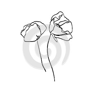 Poppy Flower continuous line drawing. Vector abstract Plant in a Trendy Minimalist Style.