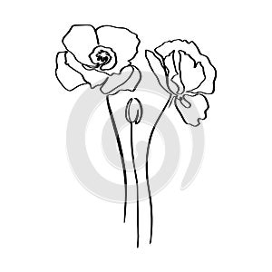Poppy Flower continuous line drawing. Vector abstract Plant in a Trendy Minimalist Style.