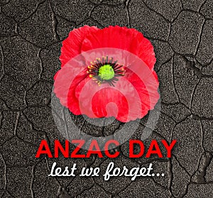 Poppy flower on cracked gray wall. Remembrance day. Lest we forget. Anzac day