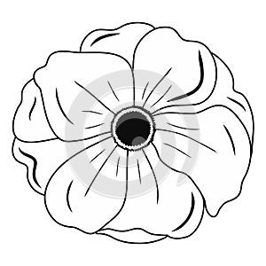 Poppy flower icon. Creative illustration. Black sketch. Idea for decors, logo, patterns, papers. Isolated vector art.