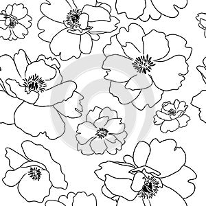 Poppy flower outline, seamless background