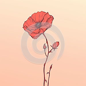 Poppy Flower Vector Illustration In The Style Of Josan Gonzalez