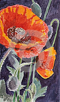 Poppy flowers. Acrylic art background with red poppies flowers.