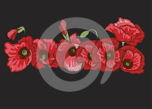 Poppy flowers set. Vector isolated blooming red poppies on black. Floral botanical illustration for design decor or holiday greeti