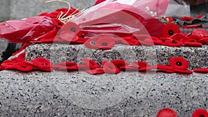 Poppy flowers on Tomb of the Unknown Soldier in Ottawa, Canada on Remembrance Day