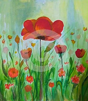 Poppy flowers watercolor